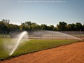 fields_7